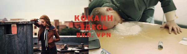 трава Лабытнанги