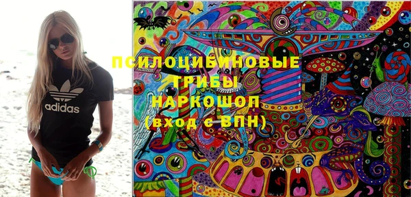 трава Лабытнанги